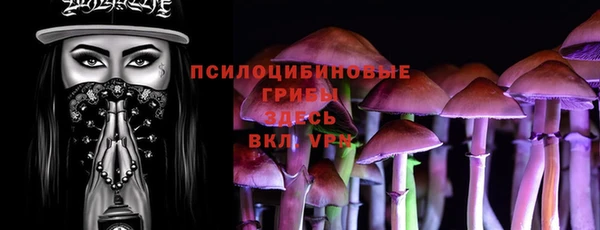 стаф Абинск