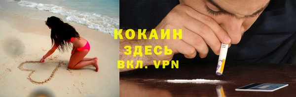 стаф Абинск