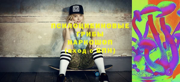 бошки Абаза