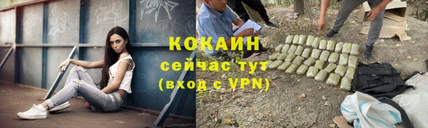 стаф Абинск