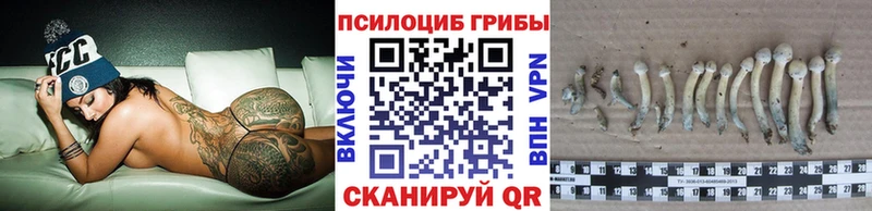 Псилоцибиновые грибы мухоморы Камень-на-Оби